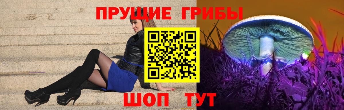 Псилоцибиновые грибы Psilocybine cubensis  Псилоцибиновые грибы ЛСД  Ревда  Вход с VPN 